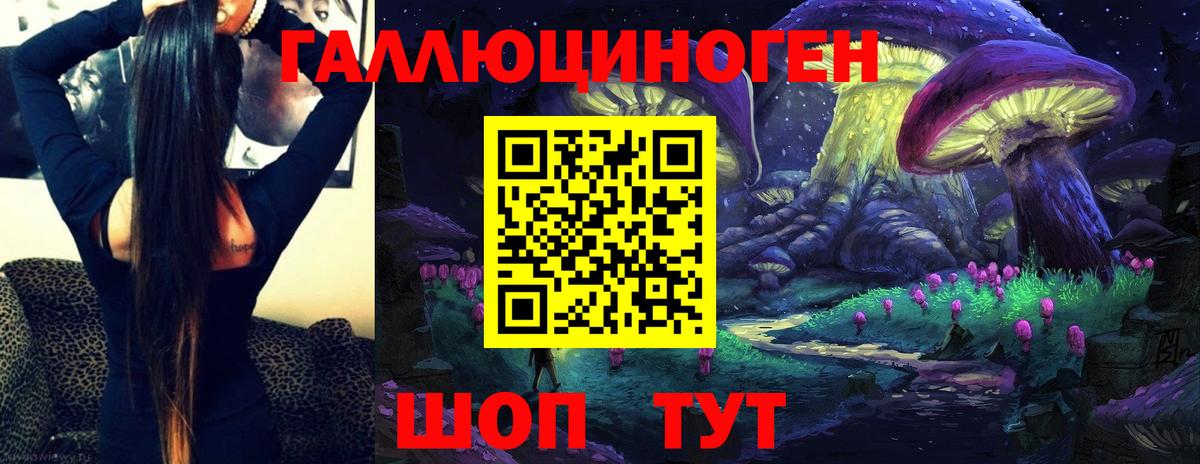 Галлюциногенные грибы Psilocybine cubensis Нижний Новгород