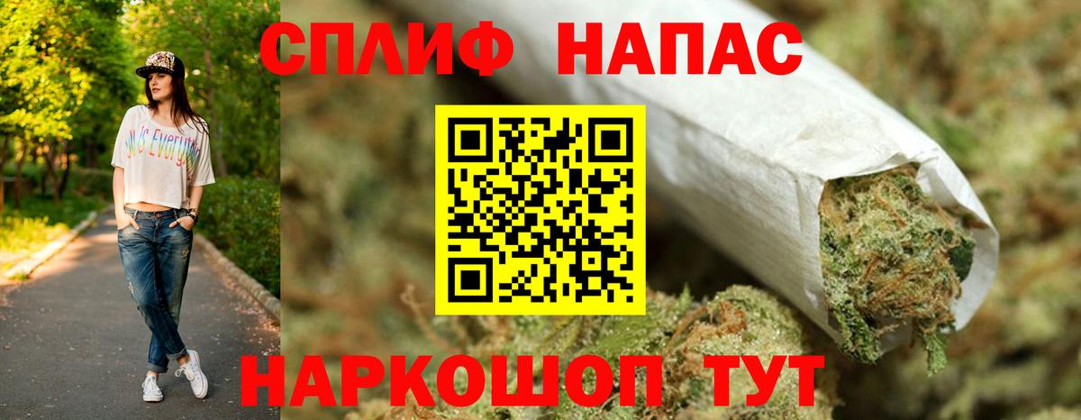 Бошки Шишки план Нижний Новгород